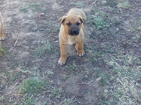 D55A4C40-B5B9-4FE6-9D1E-52467B6B2E44