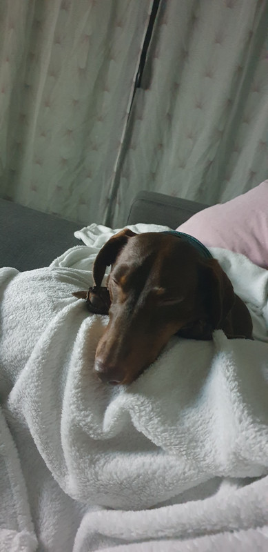 [Image: 20200918-220043.jpg]