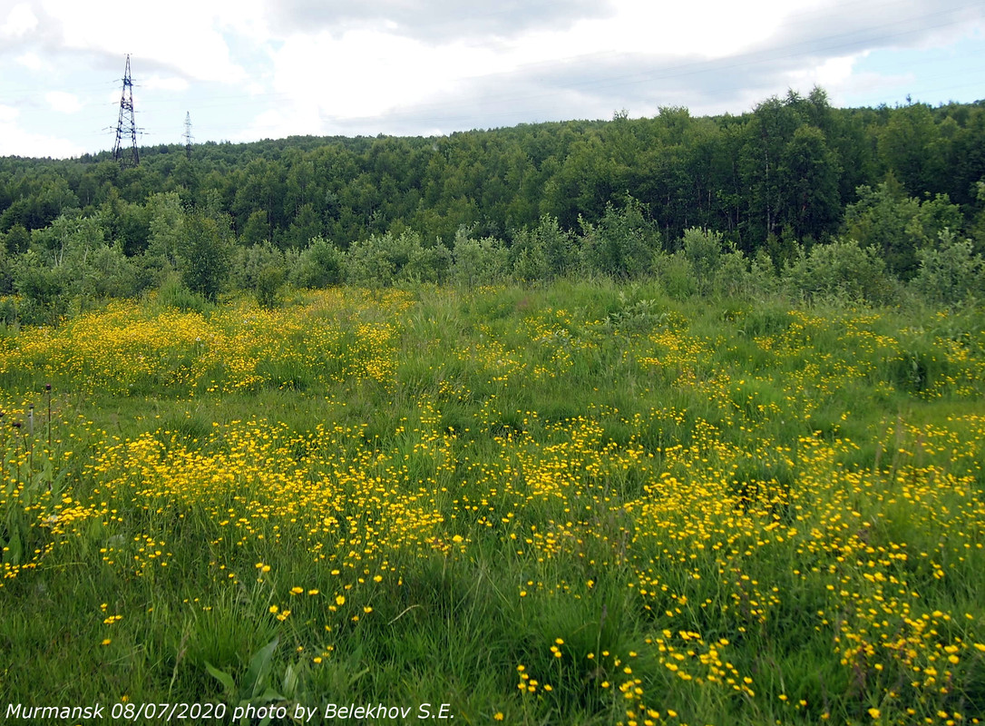 Мурманск, сопки Мурманск, сопки