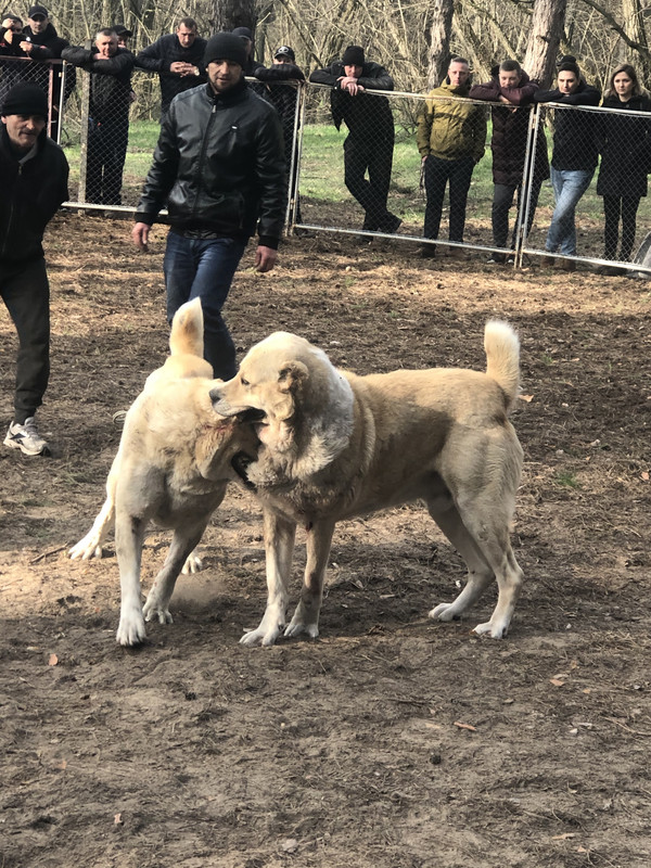 D449A75C-60B5-4235-AF9B-ED97F8B4CD23