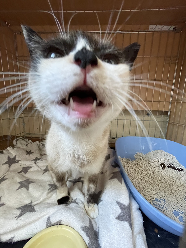 3323371C-5DF2-4B1A-969B-A63E5C6BA6B7