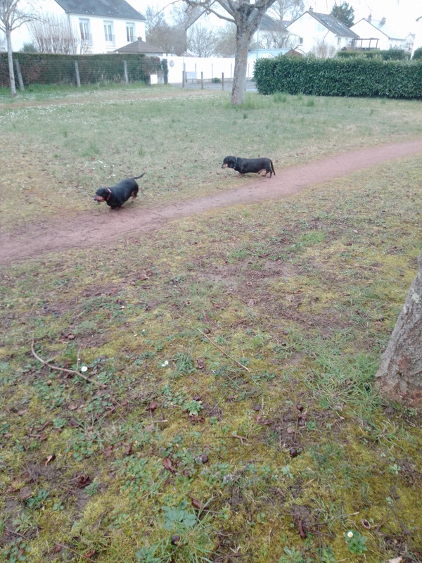 [Image: Tommy-Et-Merryl.jpg]