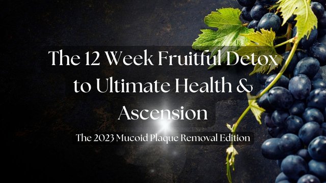 Ultimate Health Detox For Healing & Regeneration