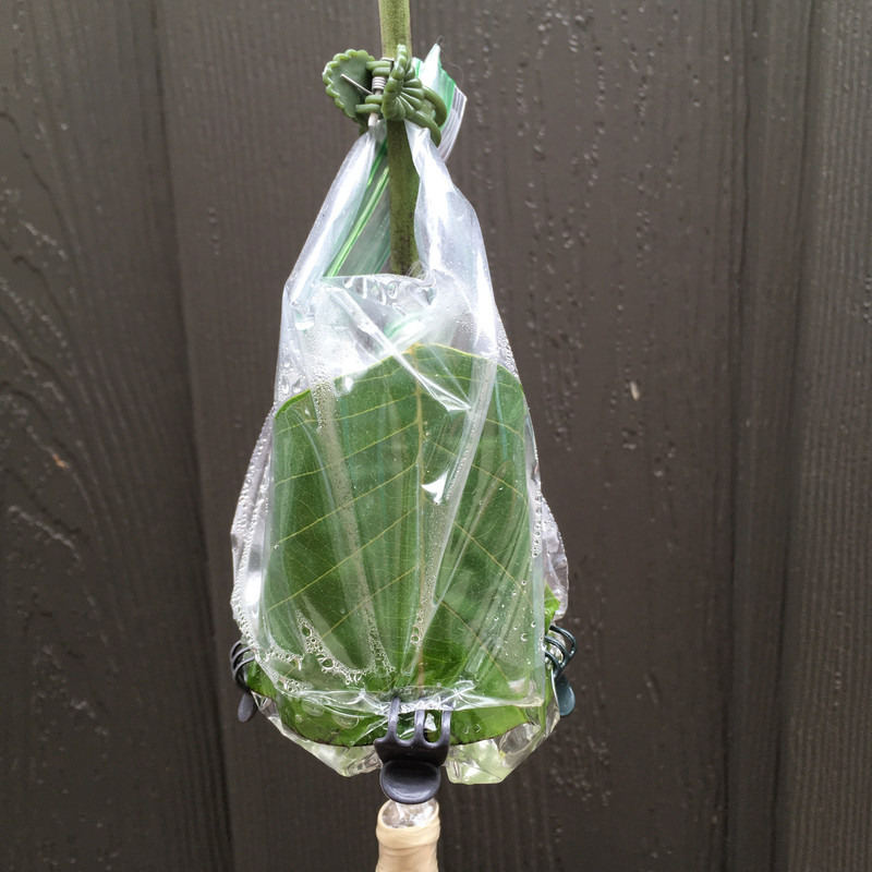 A428523F-93BB-4ED2-9AE7-820066A084FD