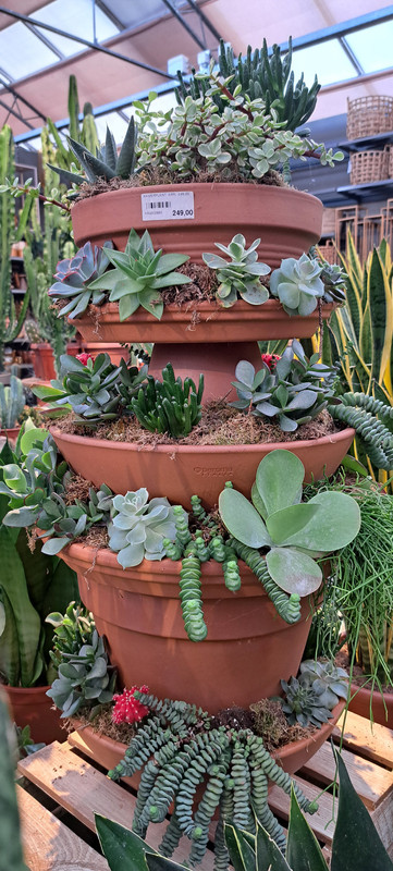 [Image: 20230710-163002.jpg]