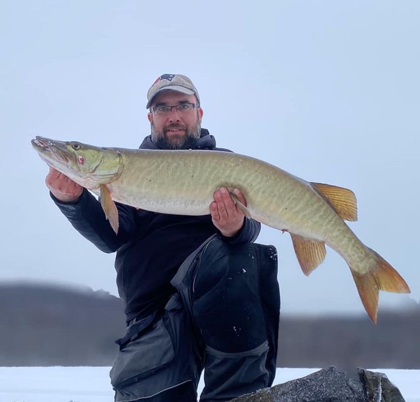 431D722A-9F02-41F4-9617-D1721A965E06