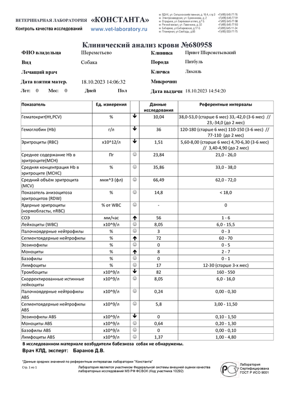 Клинический анализ крови (680958)