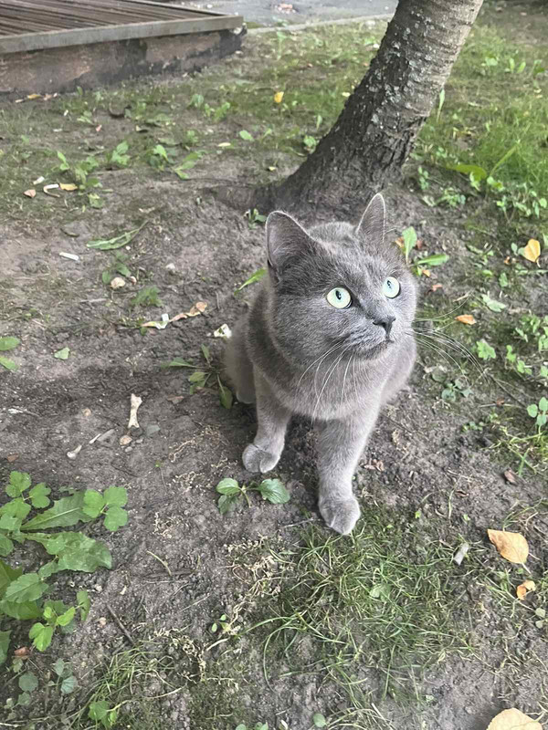 IMG-39532e8c263210809115ba6812ff7a38-V