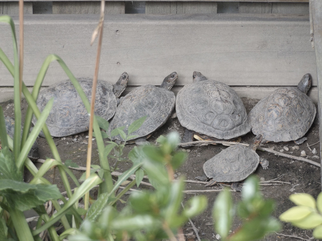 DSCF5894.jpg