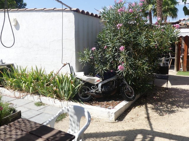 16 aout Marsillargues Carbu et Vachette (8)