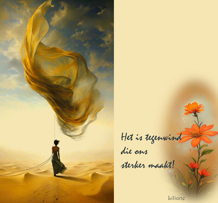 wind-tegen
