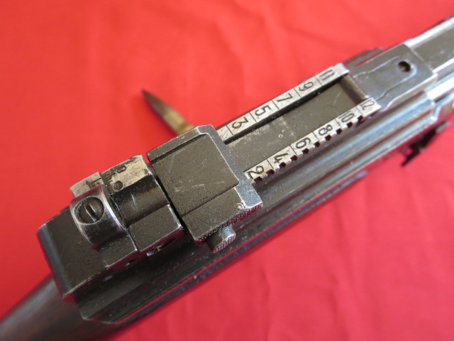 IMG-3581