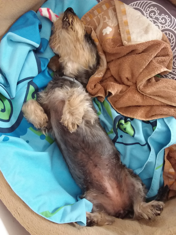 [Image: 20210813-132821.jpg]