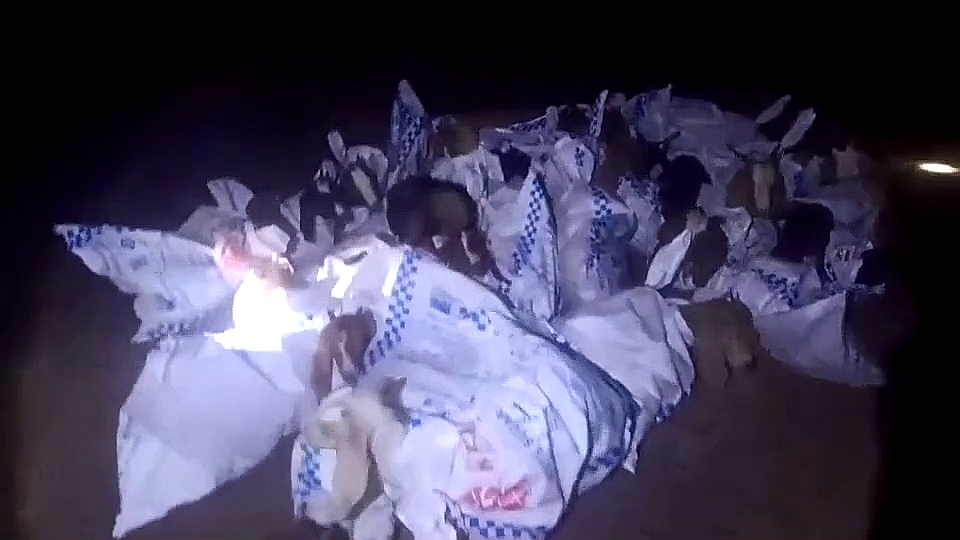 vlcsnap-2025-09-18-09h31m48s044