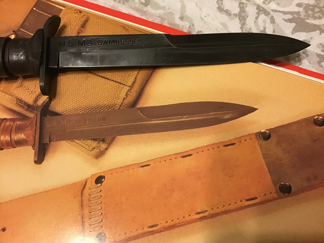 0B0A0DCF-67E0-4A17-9968-F749F532551F