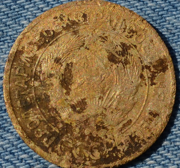 DSC_0007 — копия