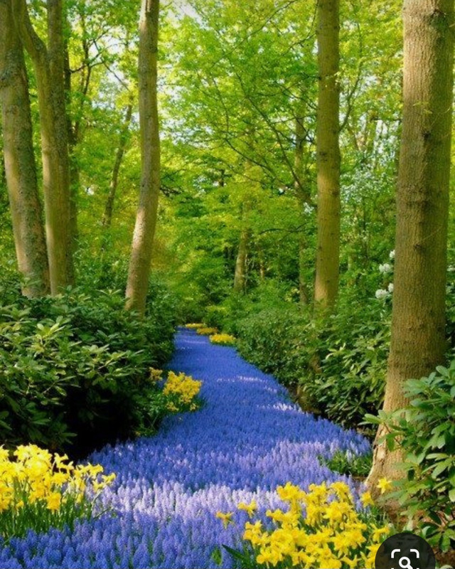 Screenshot_20231017_214433_Pinterest