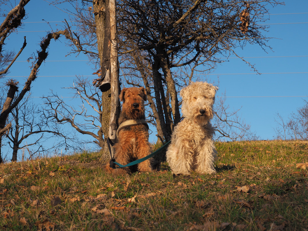 4D288B0F-346F-4908-9E6F-EBFFF135E856