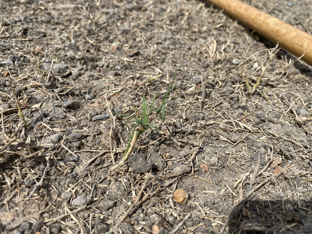 A556FCEA-6B89-4B30-90F4-1BB52BBB616F