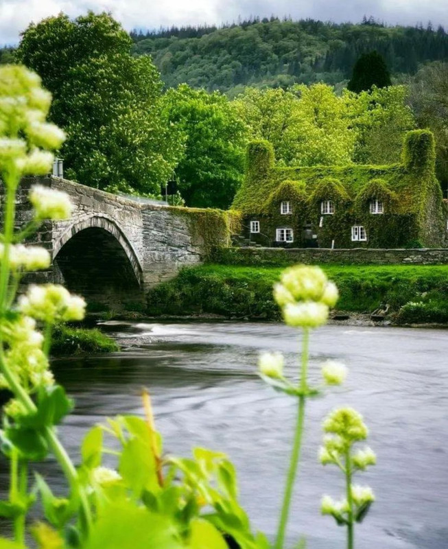 Screenshot_20240419_225911_Threads