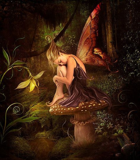 ce5017e29b996f7d266f575d17ff76e8-beautiful-fairies-fantasy-fairiescccc.jpg