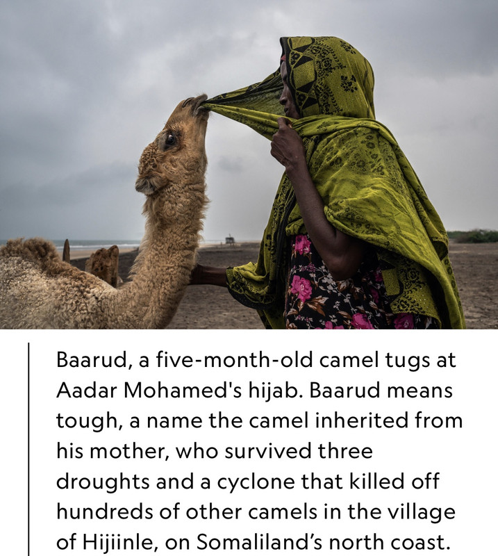 A7-B6-B64-C-2-A50-4980-9-B59-3-BE8-DBC58