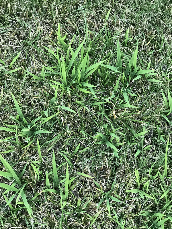 FCCF3C3A-594B-488E-8AAD-5DDCE4478D8F