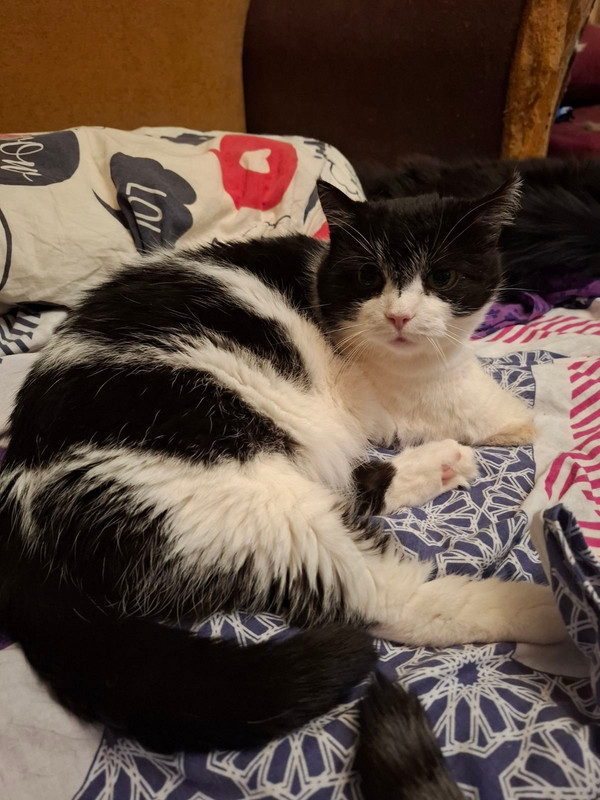 an Kotv3CK31WYNG6D9q QY DCmn Guh77h ZCQu5P3Zy ANJp Emfdf54Bft O9l63SXNQyrxs I0m4sl Zv TL6ud I7KMQxw