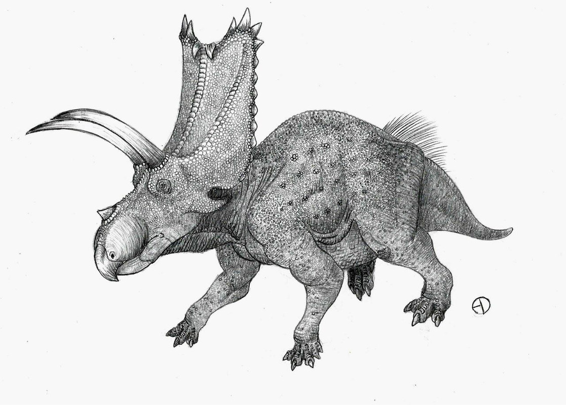 09b31532d8929e979562100e9f123621