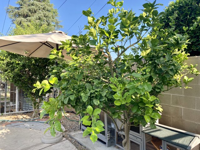 [Image: F6-D1-D00-F-FEEE-42-E8-8-FB1-36-CB1081-EED4.jpg]