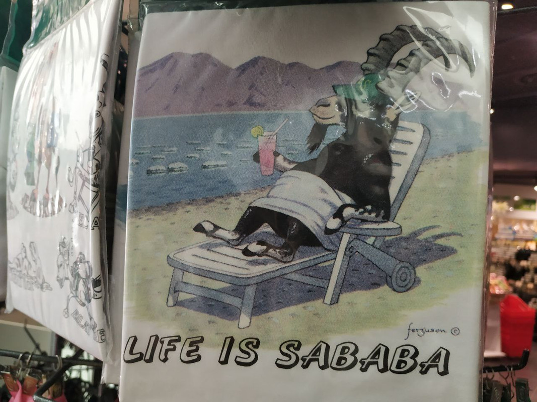 F3A52329-3AA4-43BE-A9EB-72B37E4086A0