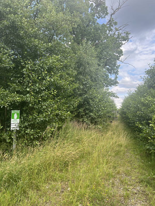 altes verschlossenes Tor