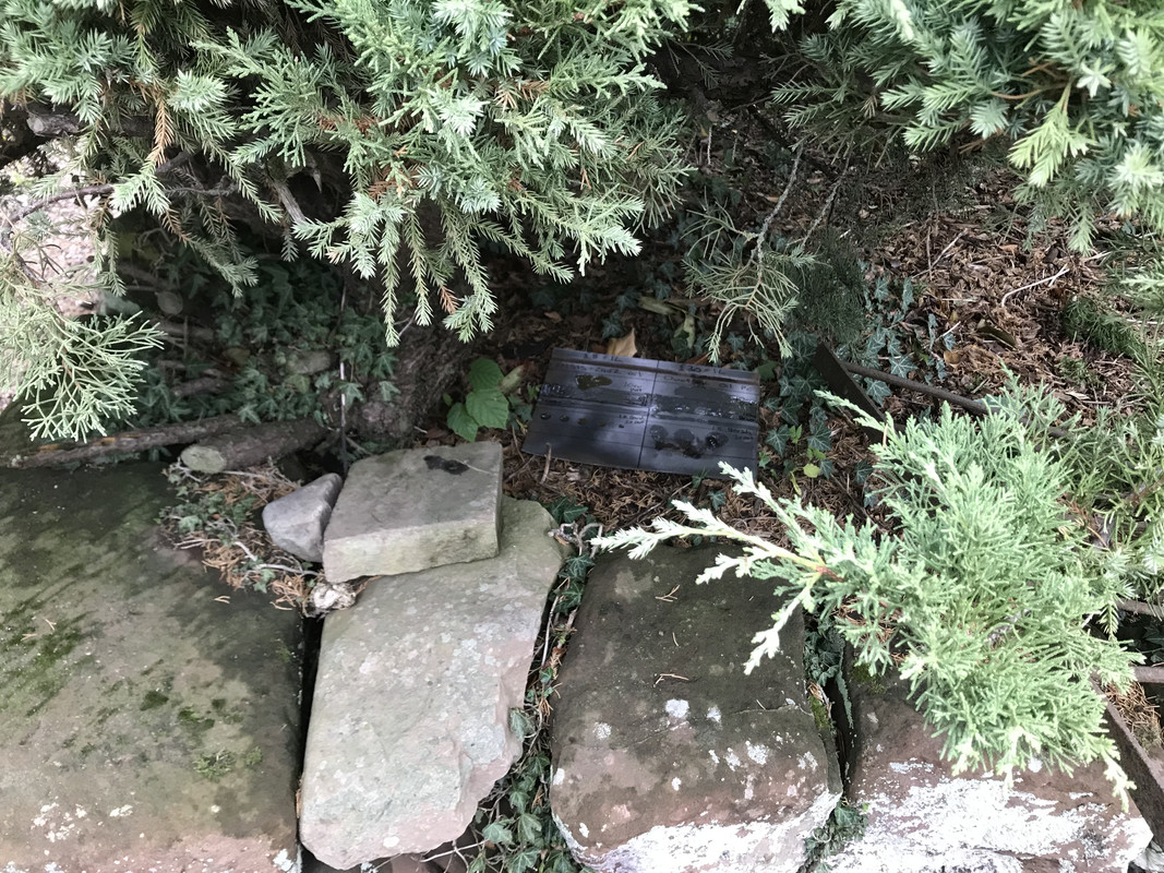 8217C551-713C-4110-80F3-125995BB8EE7