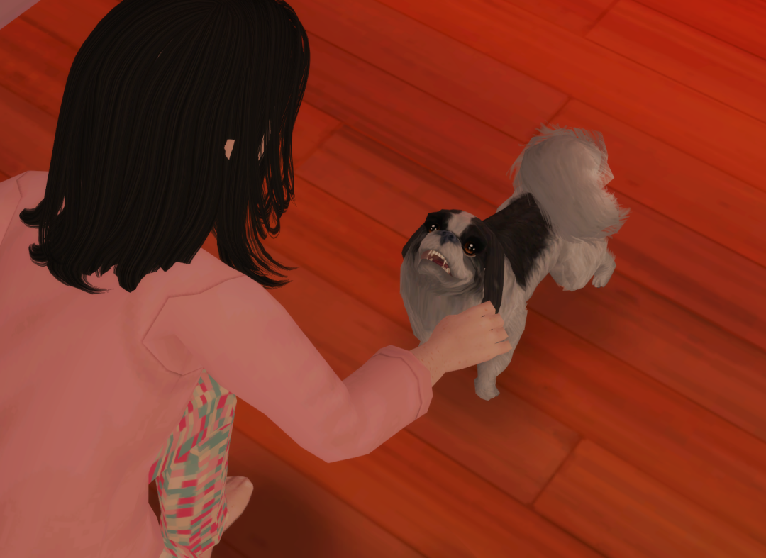 Sims2-EP9-RPC-2024-08-14-21-12-46-55