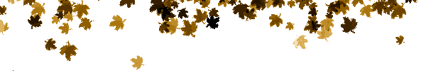 8811bd9b