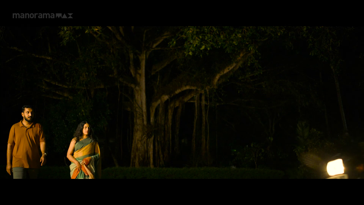 vlcsnap 2026 02 23 18h27m55s636