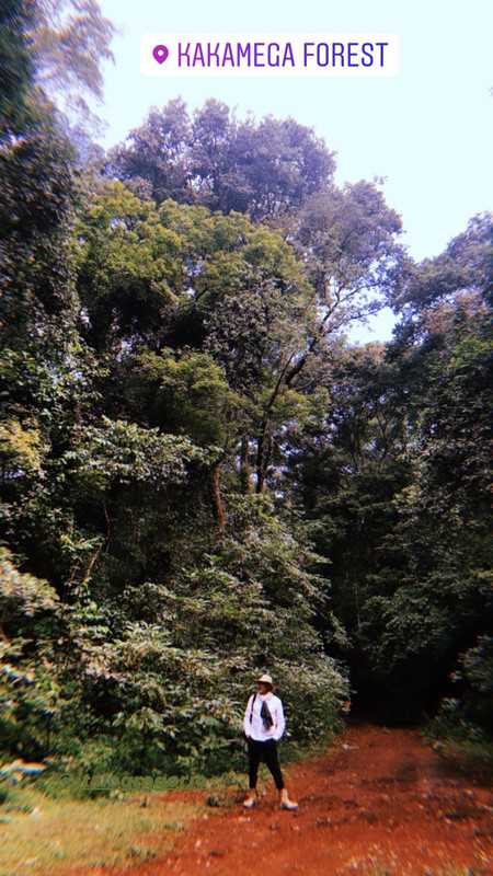 60704970_137170307373483_1772424582346515872_n