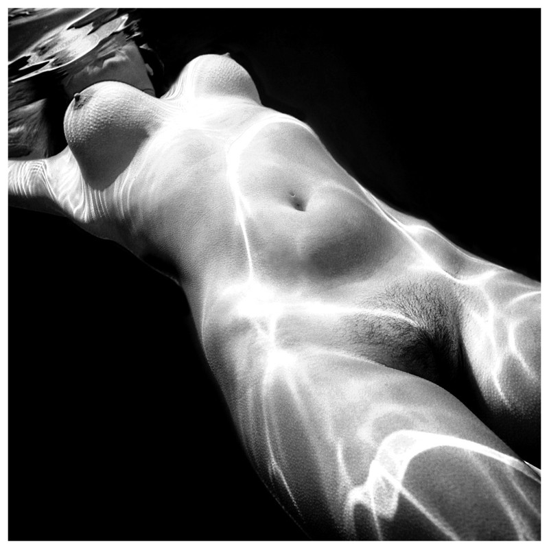 123The Coy Mistress series Serenity