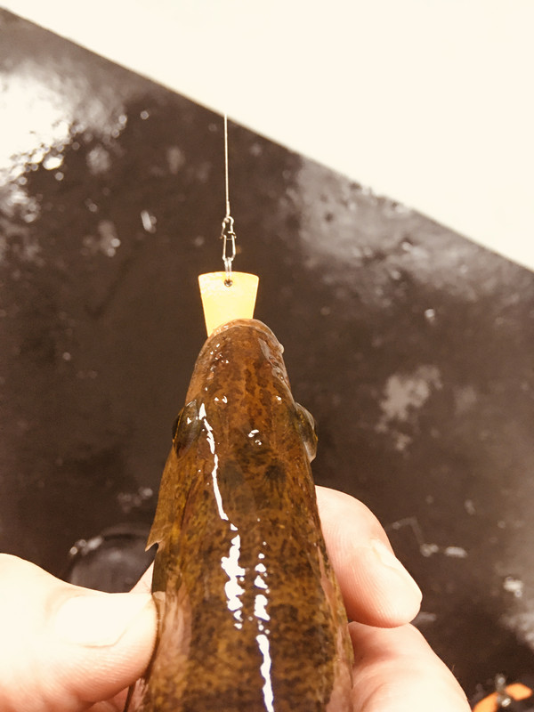 31D8F40B-FD04-4B42-81A3-E71D90C52819