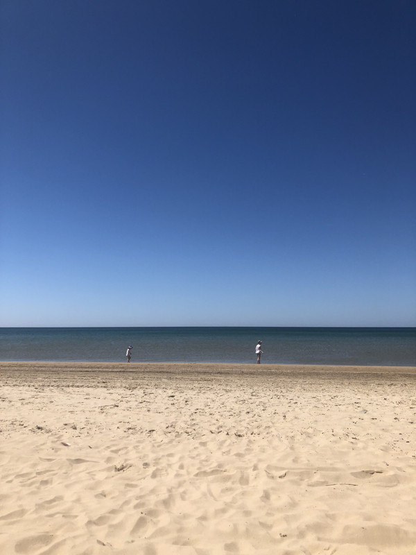 28EFDEE4-8AB4-4C83-B6B1-AA7C7A2EB86C