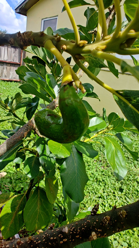 IMG_20250726_110948168_HDR