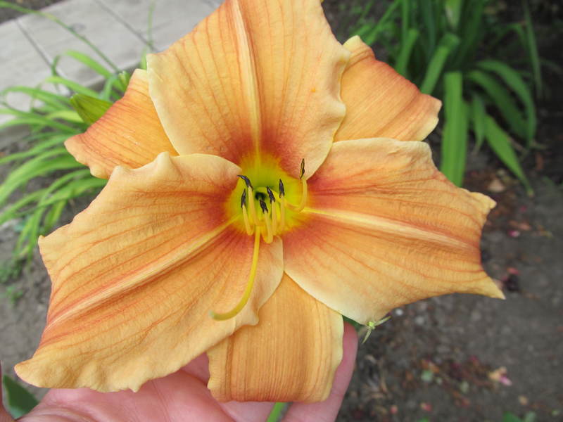 013
