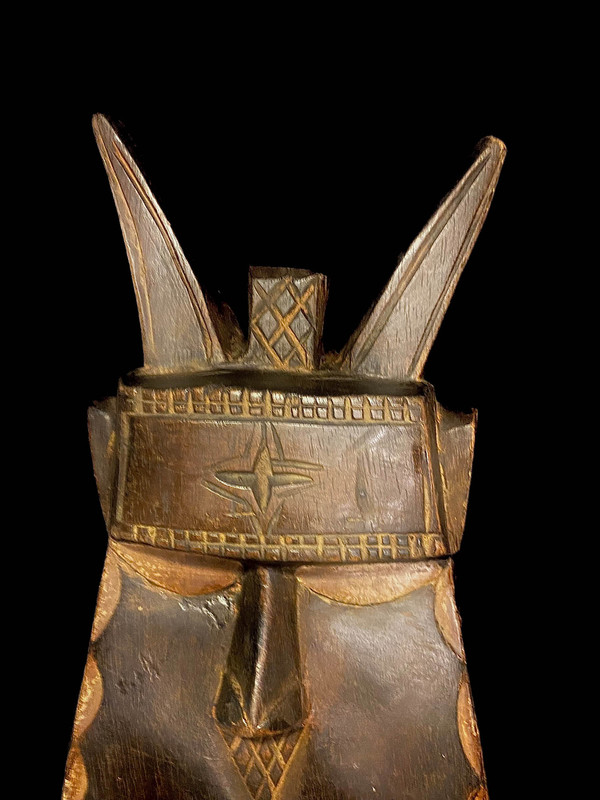 large image 6