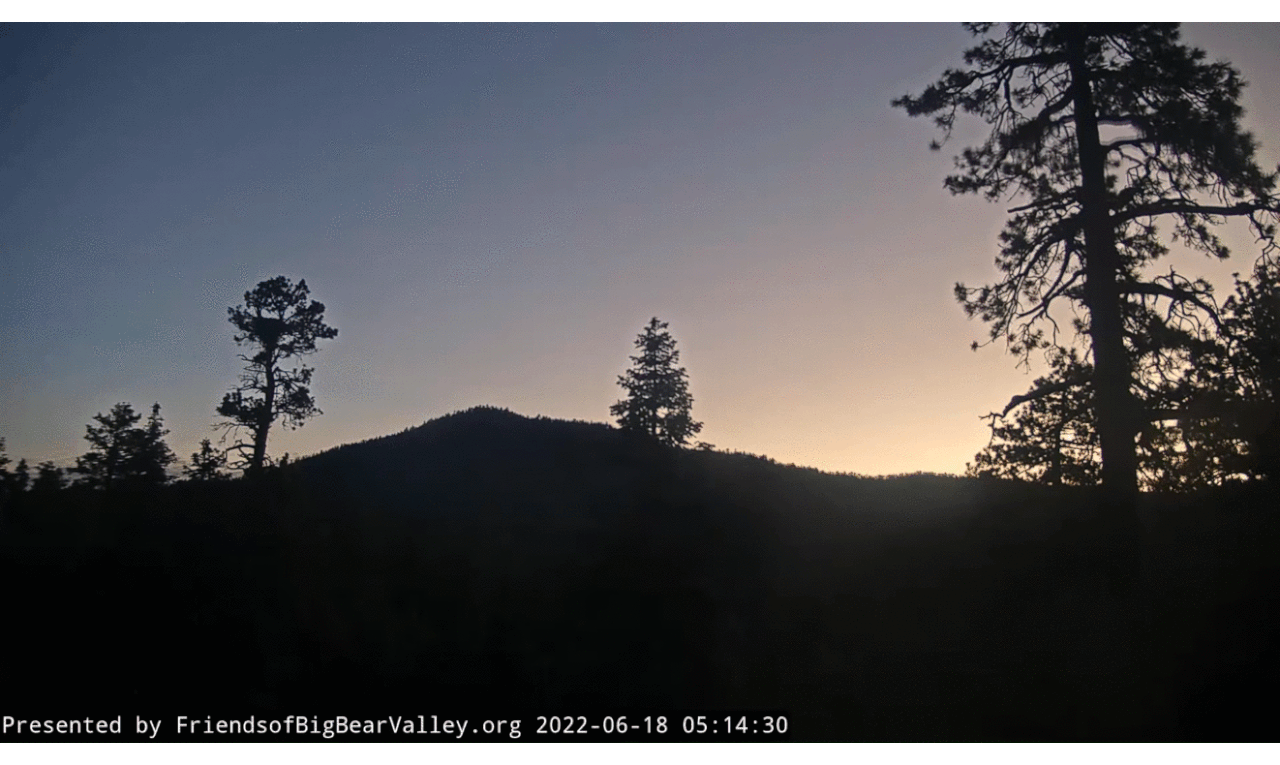 Webp.net-gifmaker (3)