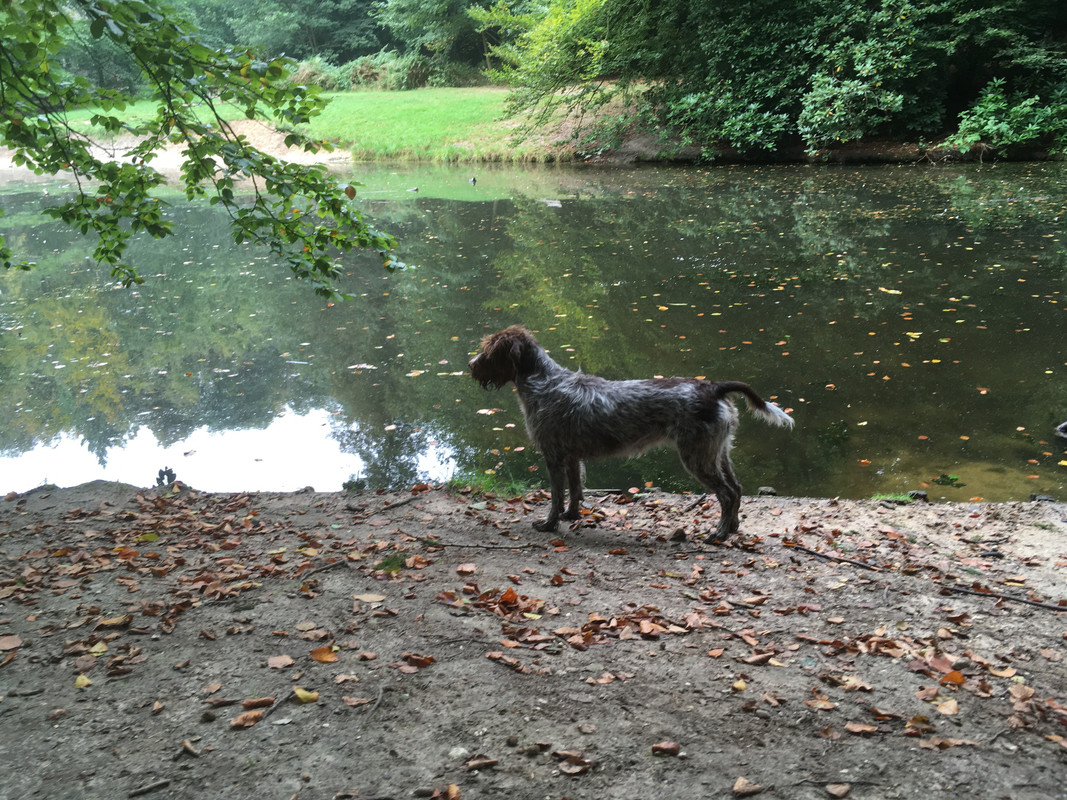 2021 september Claire bij de vijver Hemelseberg IMG_0175 (002)