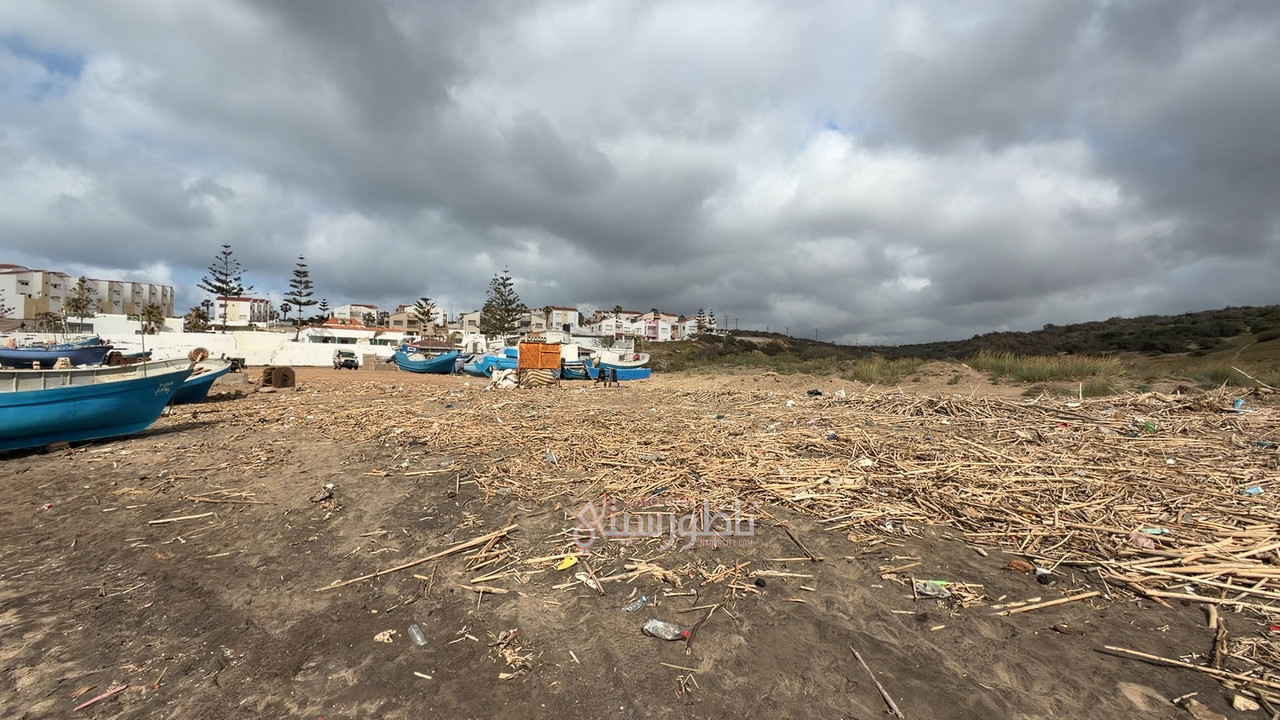 2026-04-26-15-50-IMG-1394-00-00-45-52-Still007