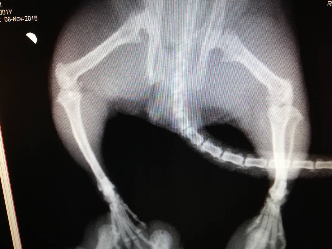 67BBFFFB-8FB4-4263-BAC0-77C8704A4E6C