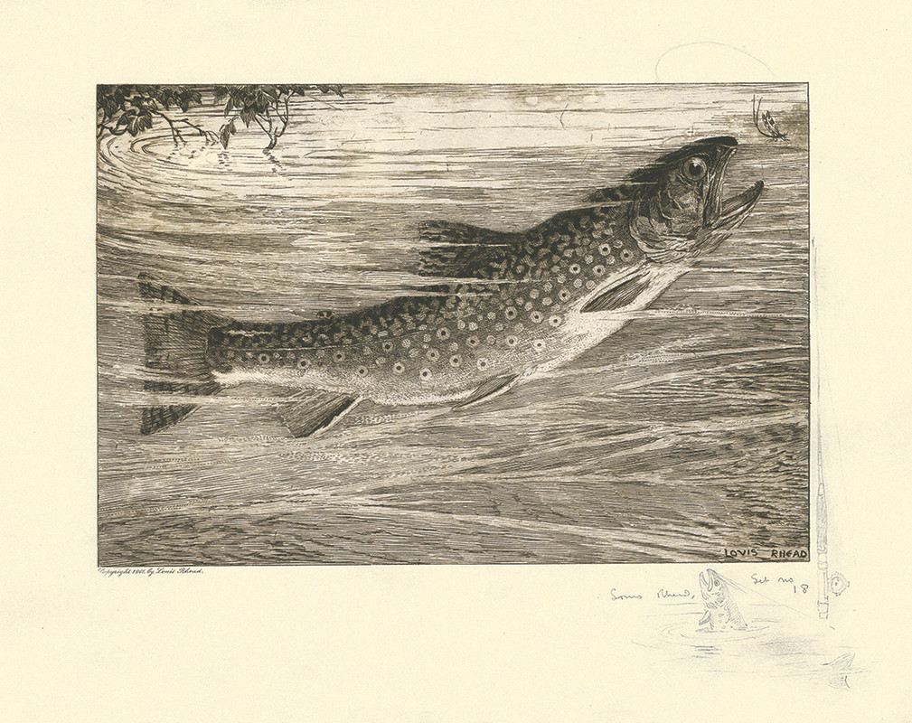 Rising To The Natural Fly