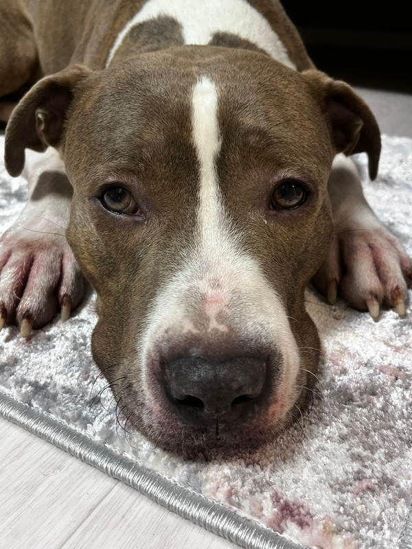 281A32DC-2730-4CEF-8F62-8F023A587D2B