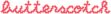 "butterscotch", and all the other images, are written in the font "spirit" which is a pixelated cursive font, and are a coral pink with a pastel pink border.